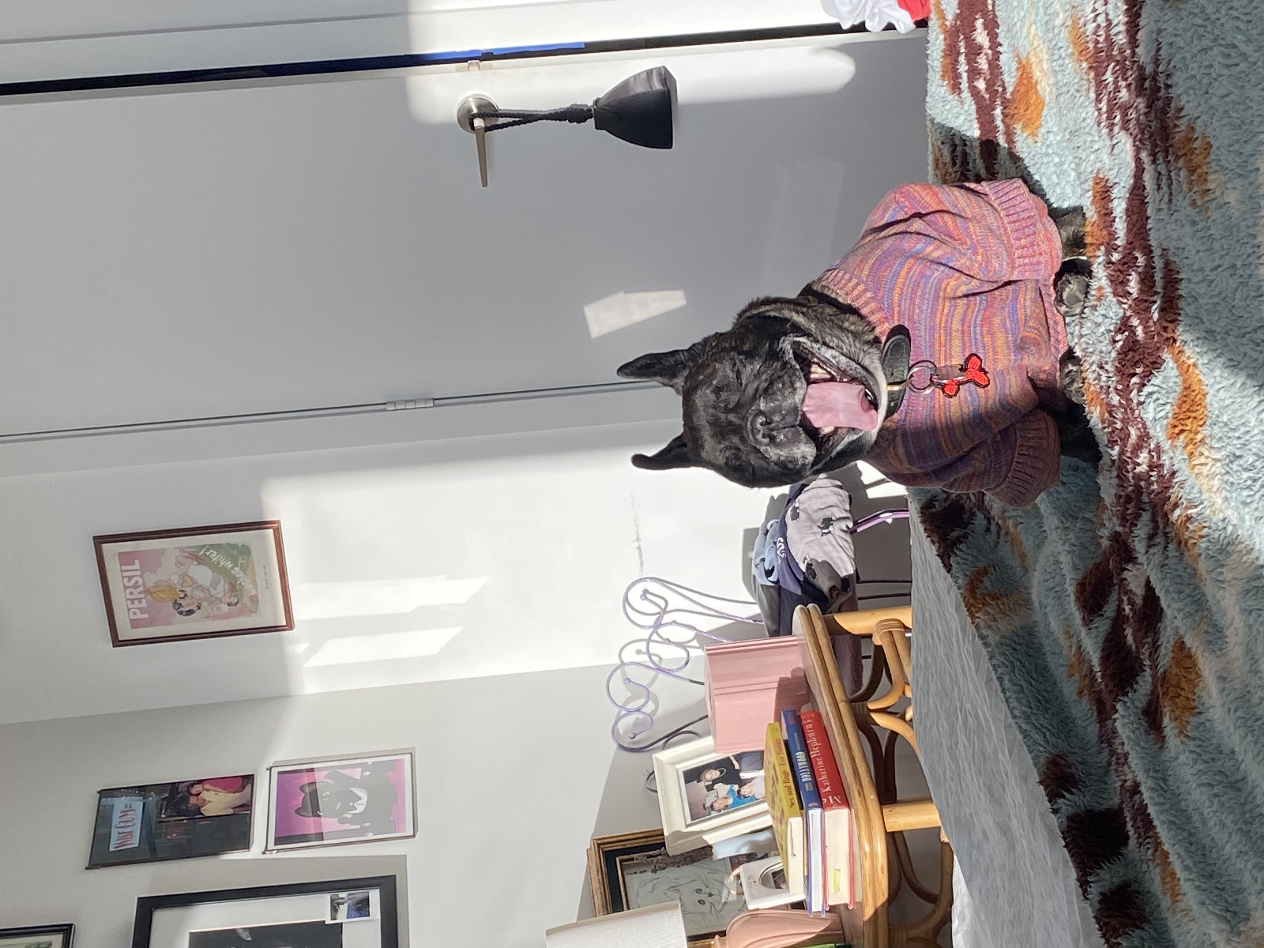 Image 7